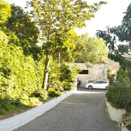Thomas Bb Conduzione Familiare Bed & Breakfast Forio (Isola d'Ischia)