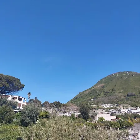 Thomas Bb Conduzione Familiare Bed & Breakfast Forio (Isola d'Ischia)