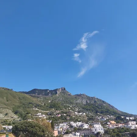 Bed & Breakfast Thomas Bb Conduzione Familiare Forio (Isola d'Ischia)